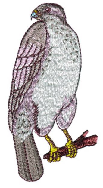 Picture of Bird Of Prey Machine Embroidery Design