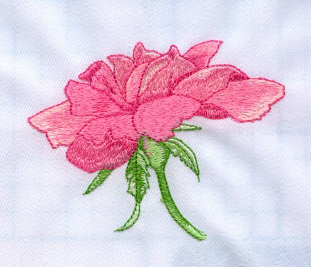 Picture of Open Rose Machine Embroidery Design