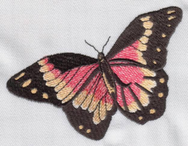 Picture of Monarch Machine Embroidery Design