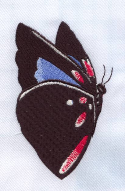 Picture of Spotted Butterfly Machine Embroidery Design