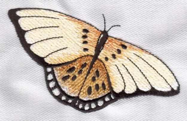 Picture of Open Butterfly Machine Embroidery Design