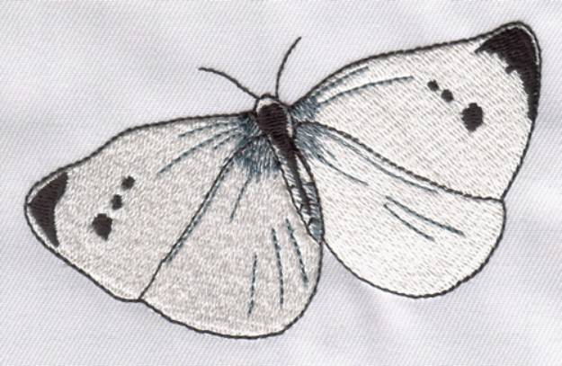 Picture of Cabbage White Machine Embroidery Design