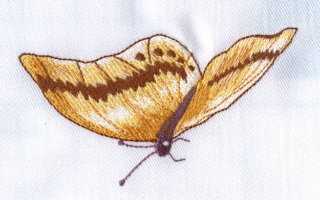 Picture of Brwon Butterfly Machine Embroidery Design