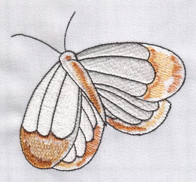 Picture of White Butterfly Machine Embroidery Design