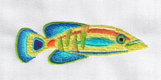 Picture of Lovely Fish Machine Embroidery Design