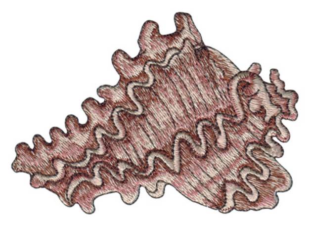 Picture of Sea shell Machine Embroidery Design