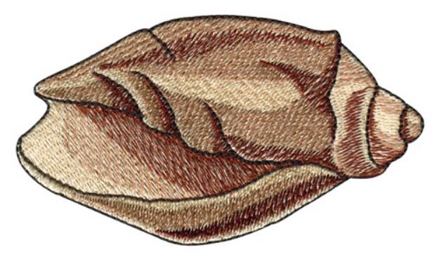 Picture of Tulip Sea Shell Machine Embroidery Design