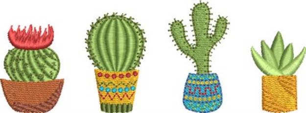 Picture of Mini Cactus Group 2