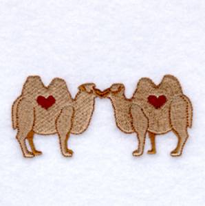 Picture of Camels in Love