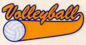 Picture of Volleyball 3 Color Applique Machine Embroidery Design