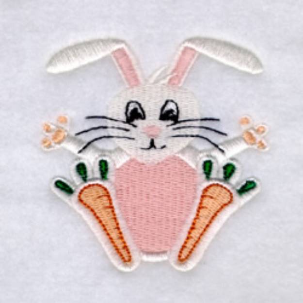 Picture of Bunny with Carrot Feet Machine Embroidery Design