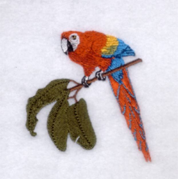 Picture of Scarlet Macaw Machine Embroidery Design
