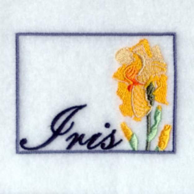 Picture of Framed Iris Machine Embroidery Design
