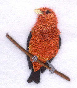 Scarlet Tanager Machine Embroidery Design