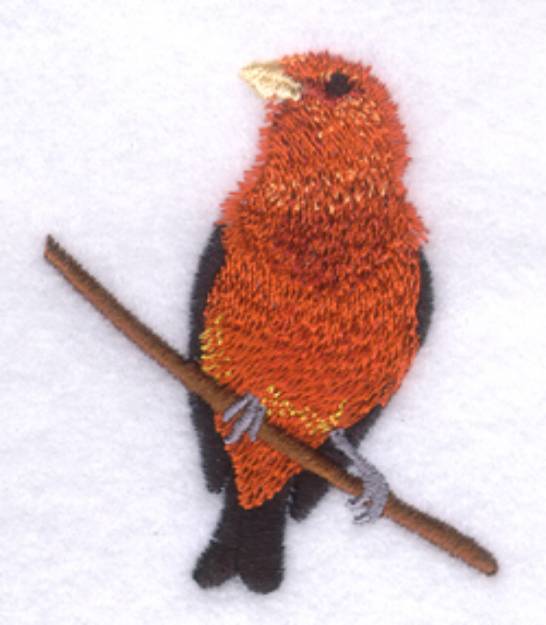 Picture of Scarlet Tanager Machine Embroidery Design