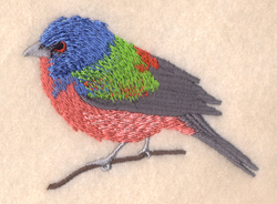 Painted Bunting Machine Embroidery Design