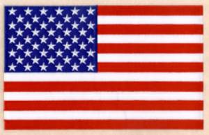 Picture of Full Back Applique American Flag Machine Embroidery Design