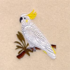 Picture of Cockatoo Machine Embroidery Design