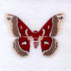 Picture of Glovers Silk Moth Machine Embroidery Design