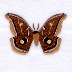 Polyphemus Moth Machine Embroidery Design