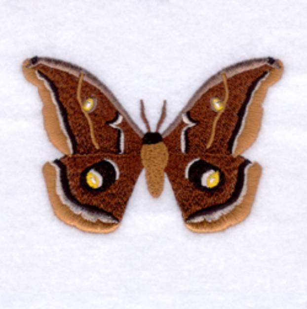 Picture of Polyphemus Moth Machine Embroidery Design