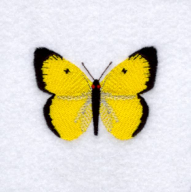 Picture of Clouded Sulfur Butterfly Machine Embroidery Design