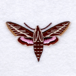 Morning Striped Sphinx Moth Machine Embroidery Design