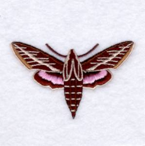 Picture of Morning Striped Sphinx Moth Machine Embroidery Design