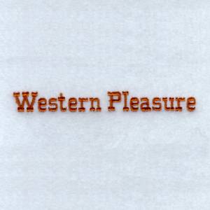 Picture of Western Pleasure Machine Embroidery Design