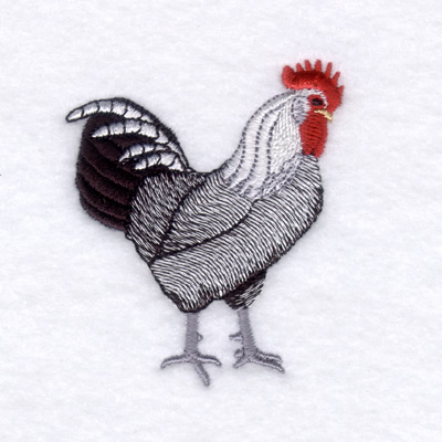 Silver Campine Rooster Machine Embroidery Design