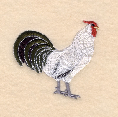 Silver Hamburg Rooster Machine Embroidery Design
