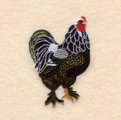 Dark Brahma Rooster Machine Embroidery Design