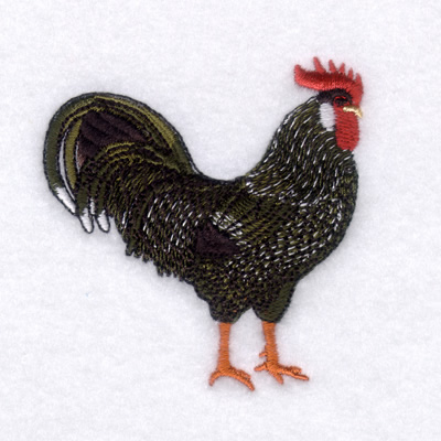 Ancona Rooster Machine Embroidery Design