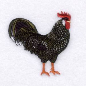 Picture of Ancona Rooster Machine Embroidery Design