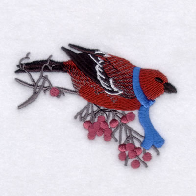 Winter Pine Grosbeak Machine Embroidery Design