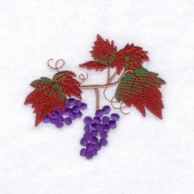Picture of Autumn Grapes Machine Embroidery Design