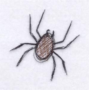 Picture of Sketched Spider Machine Embroidery Design