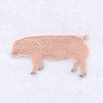 Chester White Pig Machine Embroidery Design