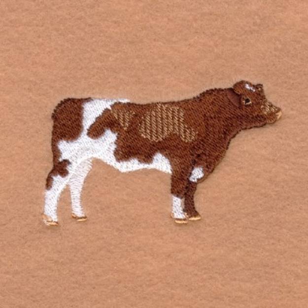 Picture of Maine-Anjou Bull Machine Embroidery Design