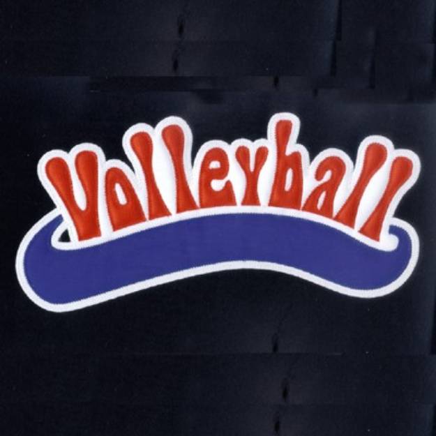 Picture of Volleyball Applique Machine Embroidery Design