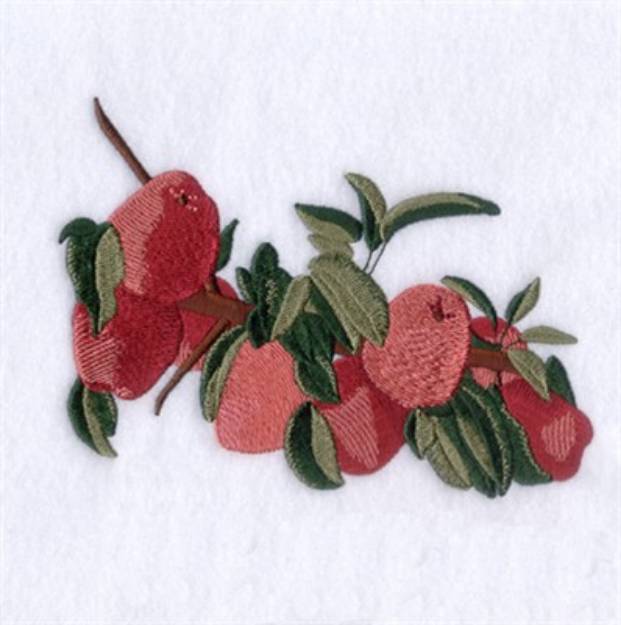 Picture of Apple Branch Machine Embroidery Design
