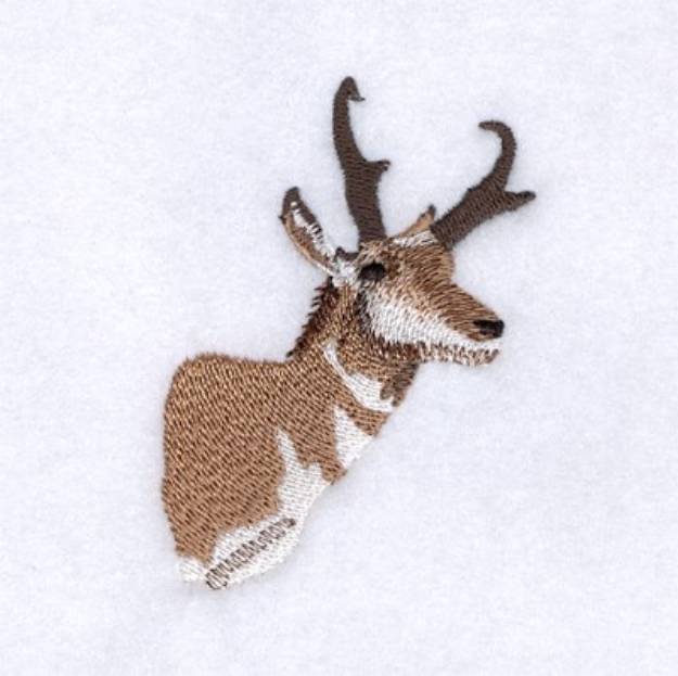 Picture of Pronghorn Antelope Head Machine Embroidery Design