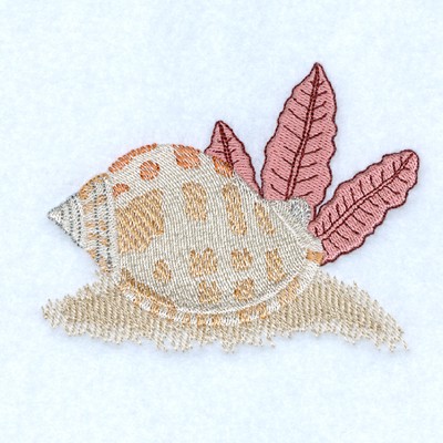 Scotch Bonnet Seashell Machine Embroidery Design
