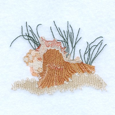 Murex Seashell Machine Embroidery Design