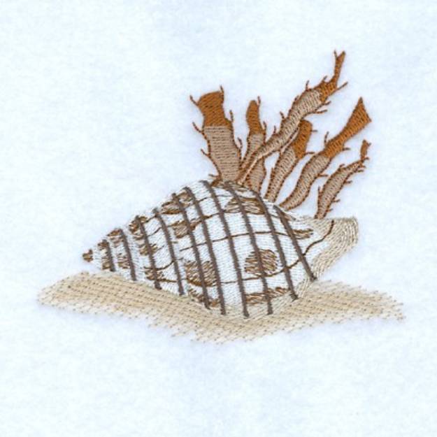 Picture of Banded Tulip Seashell Machine Embroidery Design
