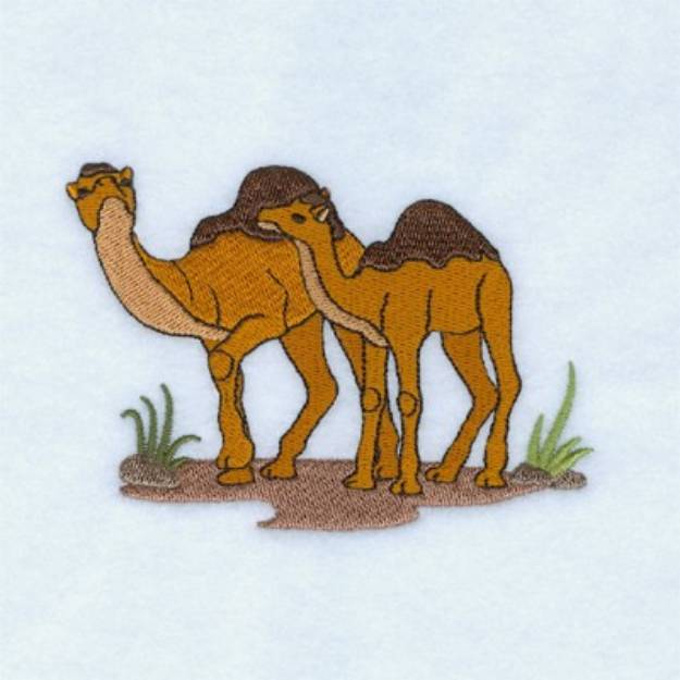 Picture of Camel Pair Machine Embroidery Design