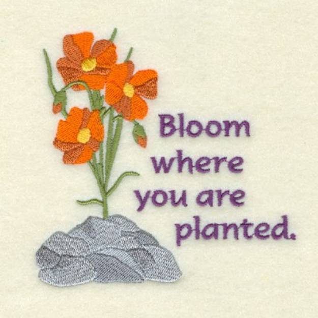 Picture of Bloom Where Planted Machine Embroidery Design