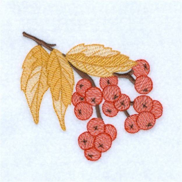 Picture of Fall Firethorn Toile Machine Embroidery Design