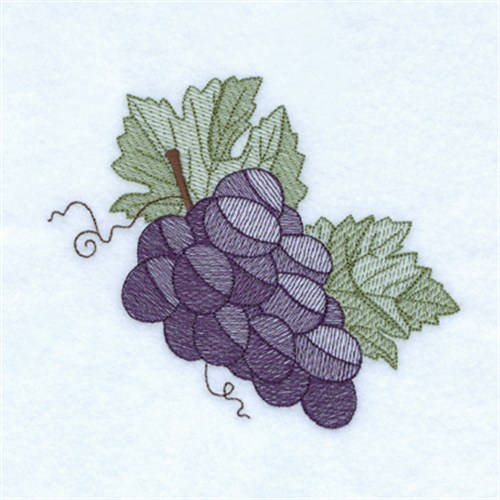 Fall Grapes Toile Machine Embroidery Design