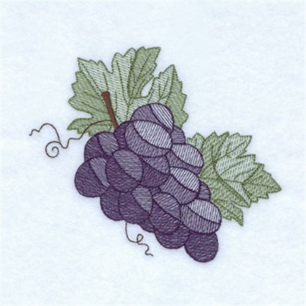 Picture of Fall Grapes Toile Machine Embroidery Design